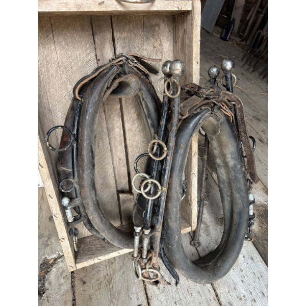 antique yolks and bits in nice condition