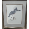 Image 1 : Bird Print 16 X 20 by Sobrepena Framed Under Glass 