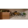 Image 1 : Dorchester Melamine Dishes, Barware, Plant Misters, Iris Design Cups and Saucers