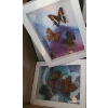 Image 2 : Variety of Small Genuine & Artificial Butterfly Boxed Art & Extra Frames 6 w 8 h