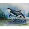 Image 1 : Keith Greba Framed Print