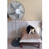 Image 1 : Oscillating Stand Up Floor Fan w/ Asian Foot Stool & More