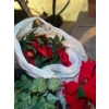 Image 4 :  huge Rubbermaid filled with red Christmas lights of poinsettias, two Christmas wreaths, some green 