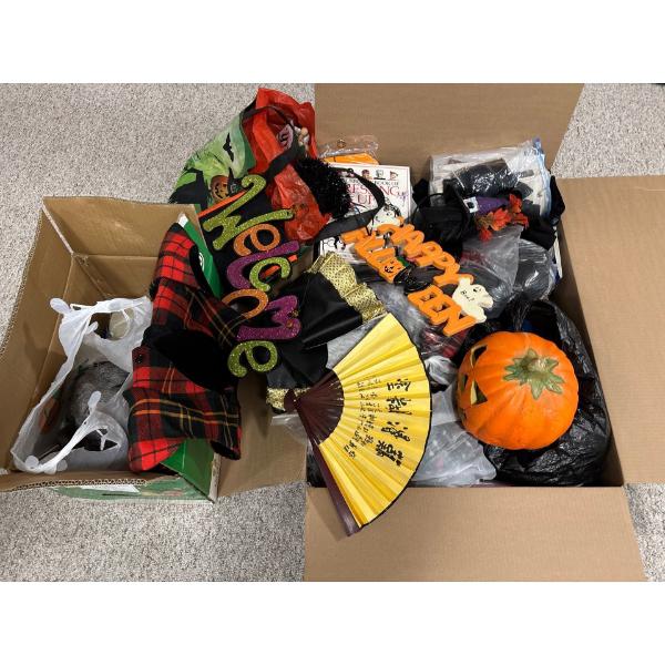 Large Selection Of Halloween Costumes & Decorations 