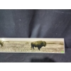 Image 3 : Laminated Foam Board with Bison Prairie Photograph 36 x 6