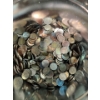 Image 2 : Tin of Canadian and American Pennies