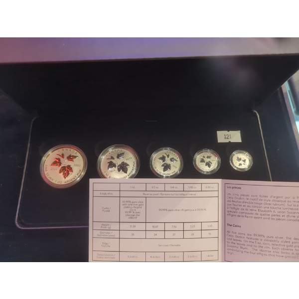 RCM 2024 Canada's Autumn Beauty Fine Silver 99.99 Silver Fractional Set (60.08g total)