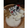 Image 2 : Wooden Dog Bed w/ Cushion and Stuffies 