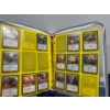 Image 11 : MTG Binder of 174 Gatecrash Cards
