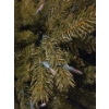 Image 2 : Buildable Artificial Holiday Tree Collection (Tree Only; As is)