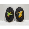 Chalk Birds, Colourful Flying Birds