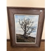Image 2 : K Sauratzky 1982 Oil On Canvass Old Oak Tree