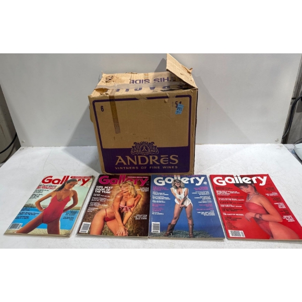 Box of Adult Magazines, Gallery 79-82