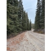 Image 3 : Dream Location In Hinton Alberta 2554 sqf 2.99 Acers Million $ Mountain Views