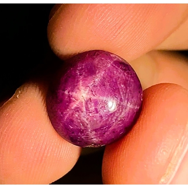 ($23,250 Appraisal) -15.5 ct Certified Red Star Ruby gemstone