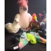 Image 3 : Beanie Babies- Assorted Including: Serenity, Gobbles, Pegasus, Float and More!