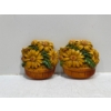 Chalk Flowers, Yellow Flowers in Baskets