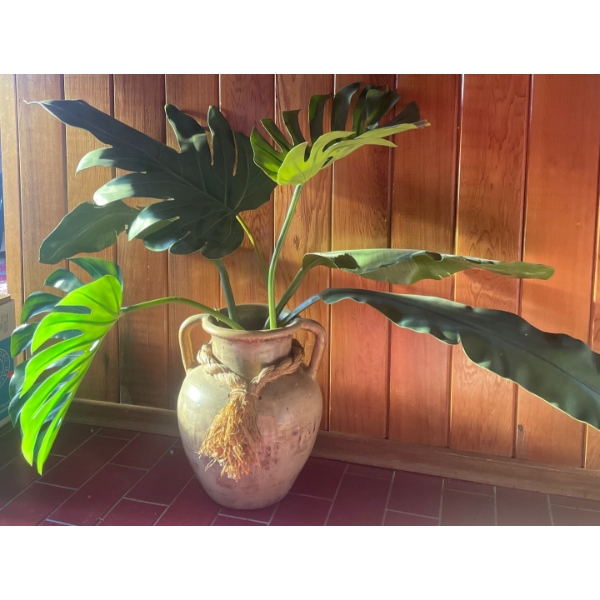 Two Artificial Plants