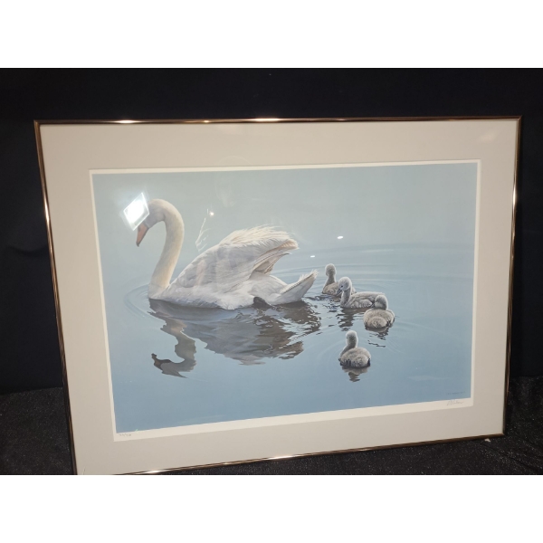 "Following Mama Mute Swans",Artist: R.S.Parker,150 /950,Offset Lithograph Framed Under Glass 35 X 26