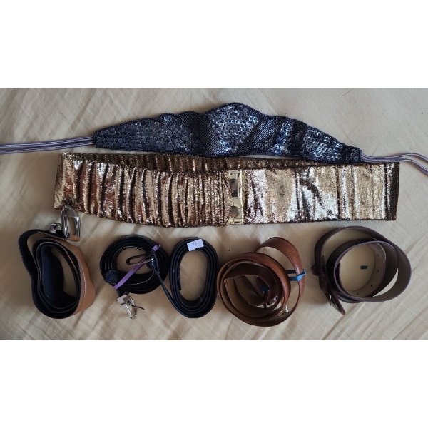 Women's Fashion Belts