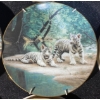 Image 3 : Collection of Decorative Plates and More