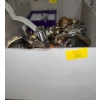 Image 1 : Costume Jewelry (2): Bracelets, Fashion Watches (Turtle), Pins (Angel Pin New in Box), Other Pieces