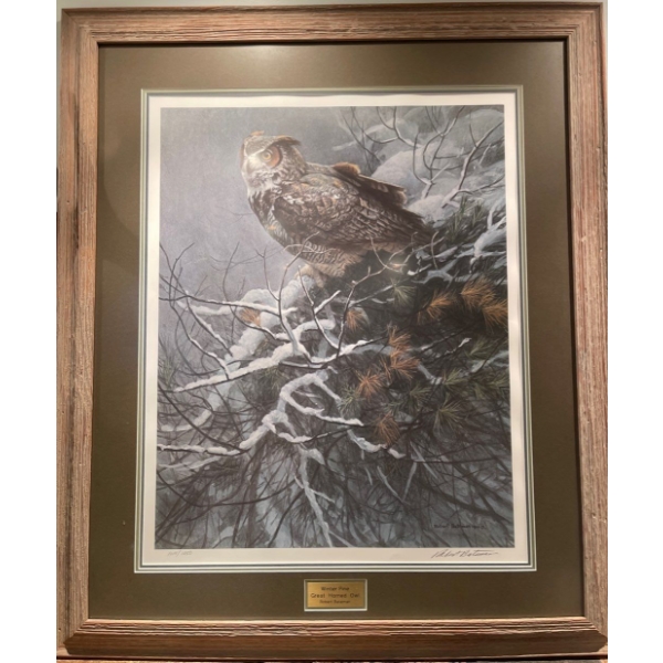 Robert Bateman - Winter Pine, Great Horned Owl Limited Edition Print 1250 Signed & Numbered 