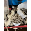 Image 3 : TEC Masters rolling mechanics cart with a number of other miscellaneous items, bolts filters, hoses,