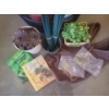 Image 8 : Garden Essentials - Live Succulents - Grow Books Stakes Hangers & More