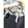 Image 7 : Cybis Figurines- Sitting w/ Apple: 4.5 W, 3.5 D, 8 T, Holding Bear,  Kneeling 4.5 T