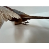Image 5 :  Ring-necked Pheasant wall mount flying formation