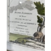 Image 4 : "Nuove Scoperte de'Reussi" from 1776 16Wx12H