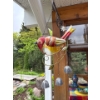 Image 2 : Outdoor Yard Decor, 6 Pcs, Bring Tools 