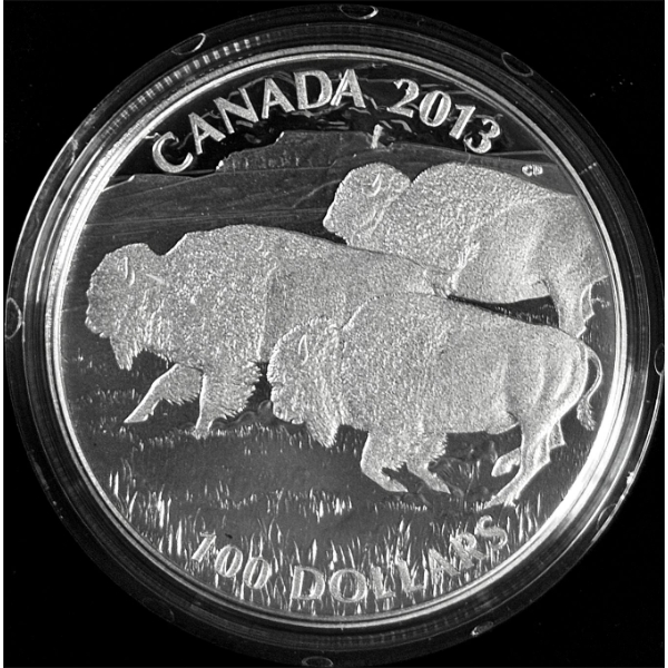 2013 $100 for $100 Bison Stampede - 99.9% Fine Silver Coin - #2