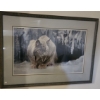 Image 1 : Print of Lynx, Artist: Robert Bateman, Framed Under Glass 41.5 X 28.5 