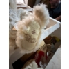 Image 9 : Barton”s creek collection artist designed GUND teddy bears x 3 including 2 original boxes . 

