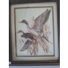 Image 3 : Waterfowl Framed Prints 