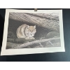 Image 4 : Alex Halliburton Prairie Pals 20Tx14W, Woodland Watch 16Tx21W, Feline Sanctuary 15Tx22.5W