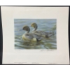 Image 2 : Robert Bateman "Pintails in Spring" Signed Wildlife Habitat Canada Print