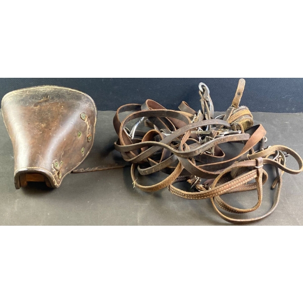 Civil War Cavalry Stirrup & Harness & Antique U.S. Quartermaster Corps (USQMC) Metal Bucket