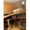 Image 2 : Contents Of Pantry