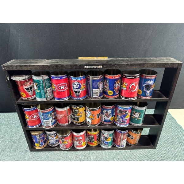 Pinnacle Hockey Card Can Display
