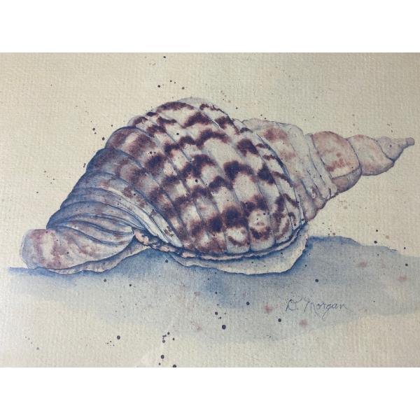 Shells Painting by Dorris Morgan (13.75 x 10.75" Before Frame)