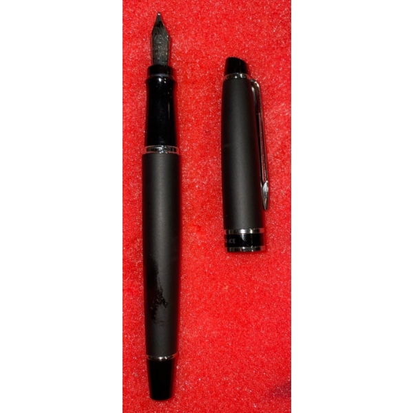 Collectable Matte Waterman Paris Fountain Pen 