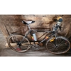 Image 1 : - Pathfinder Pro Class 12 Bicycle w/ Attached Archer Road Patrol Radio