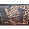 Image 1 : East of the Sun Leopard by Carl Brenders Ltd Edition Print 662/950 39 1/2 w 31 h