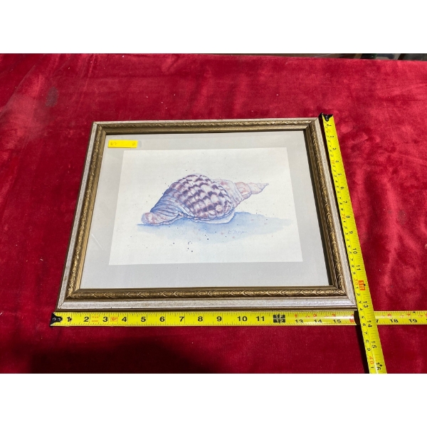 Shells Painting by Dorris Morgan (13.75 x 10.75" Before Frame)