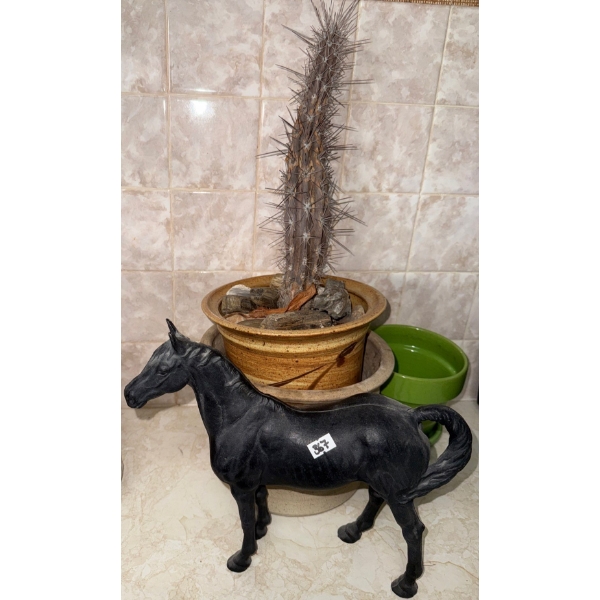 Cast Iron Horse 11 x 11