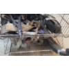 Image 4 :  Hitches, Reducer Sleeves, Ratchet Straps & More In Parts Bin