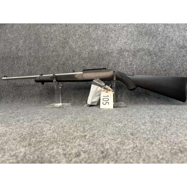 Ruger 10/22 Stainless